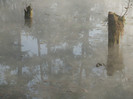 Lac termal 2008