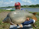 crap 18,40 kg