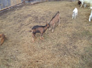 DSC00658