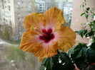 P1370913