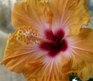 P1370916