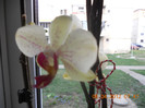DSCN0362