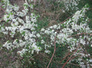 poze 2713