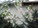 poze 2721