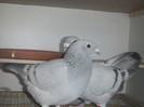 DSCF8902