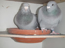 DSCF8903