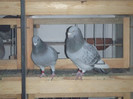 DSCF8972
