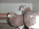 DSCF9067