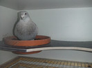 DSCF9092