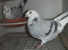DSCF9114