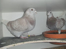 DSCF9130