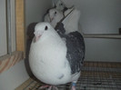 DSCF9143