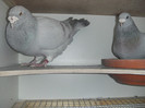 DSCF9152
