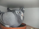 DSCF9162