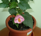 P1370971