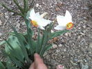 P06-04-12_10.56[1]