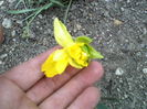 P06-04-12_10.56[2]