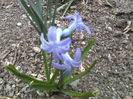 P06-04-12_10.56[3]