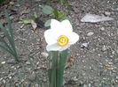 P06-04-12_10.56[5]