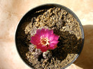 IMAG0031