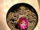 IMAG0032