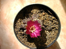 IMAG0034