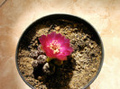 IMAG0035