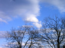 IMAG0010