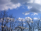 IMAG0012