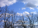 IMAG0013