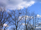 IMAG0014