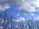 IMAG0015