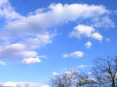 IMAG0023