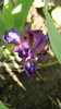 DSCN1790