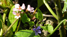 DSCN1826