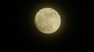 DSCN1852