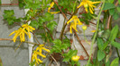 DSCN1874