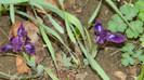 DSCN1905