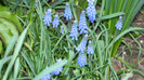 DSCN1922