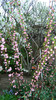 DSCN1951