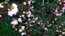 DSCN1956