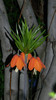 DSCN2012