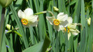 DSCN1757