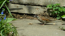 DSCN1759