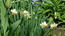 DSCN1761