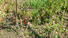 DSCN1773