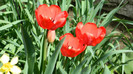 DSCN1780