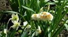 DSCN1782