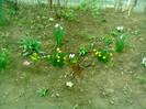 Photo0323