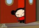 Pucca